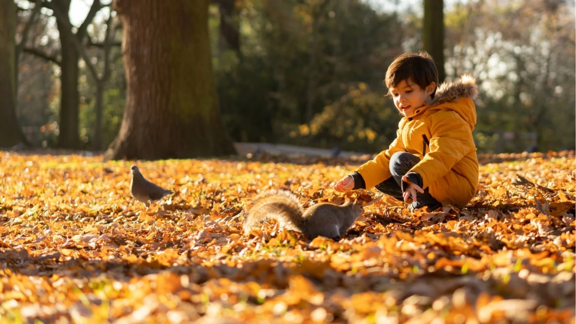 Каква ще е зимата? Проф. Рачев даде "диагноза" за времето в началото на ноември