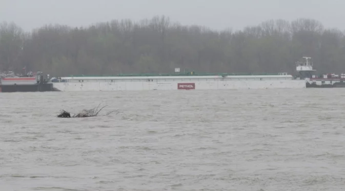Круизен кораб заседна в плитчините на р. Дунав