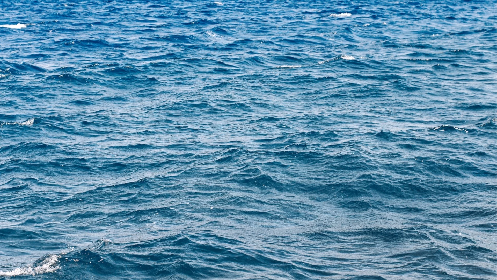 Проверка потвърди: Качеството на водите в Черно море е отлично