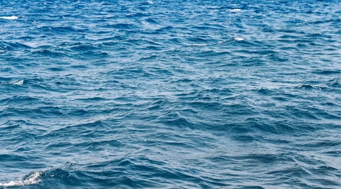 Проверка потвърди: Качеството на водите в Черно море е отлично