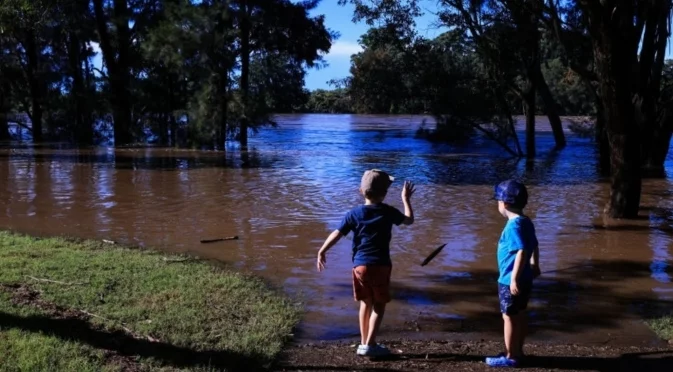 Комари в Исландия и още: как климатичните промени разболяват