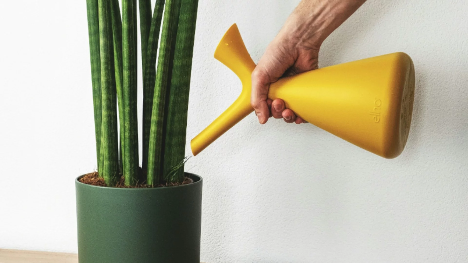 Не моли съседите повече: Ето как да се поливат цветята, когато ни няма у дома