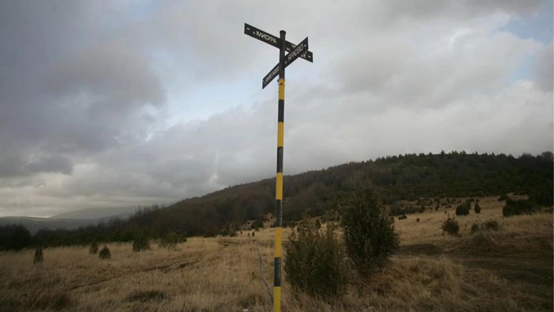 Откриха жената, обявена за издирване в района на Витоша