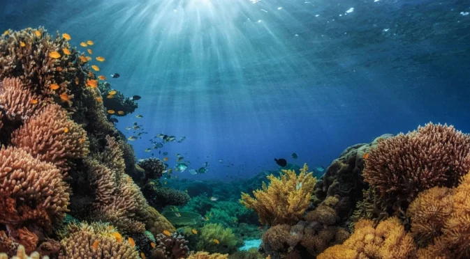 За пръв път: Ето какво откриха учени в дълбините на Тихия океан, какво ще се случи след това