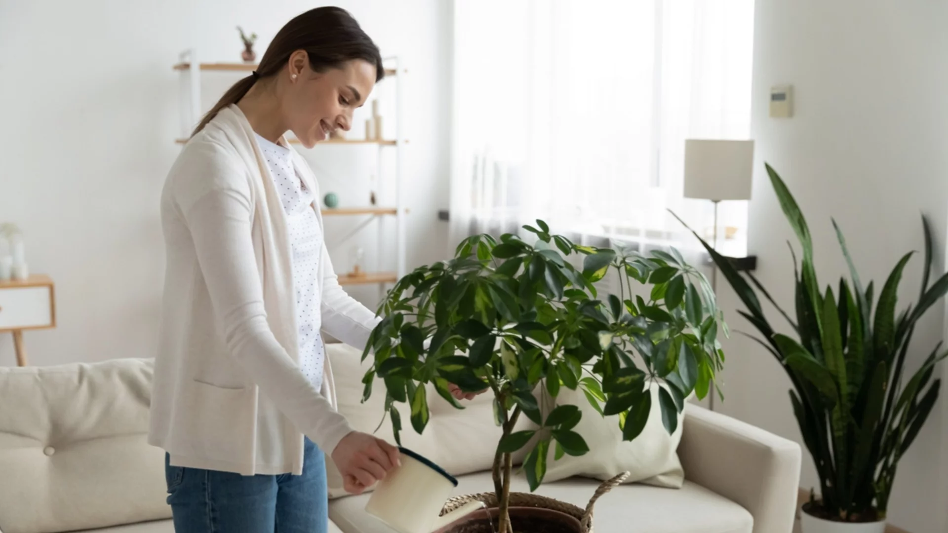 Как да разберем кога цветята имат нужда от вода през зимата