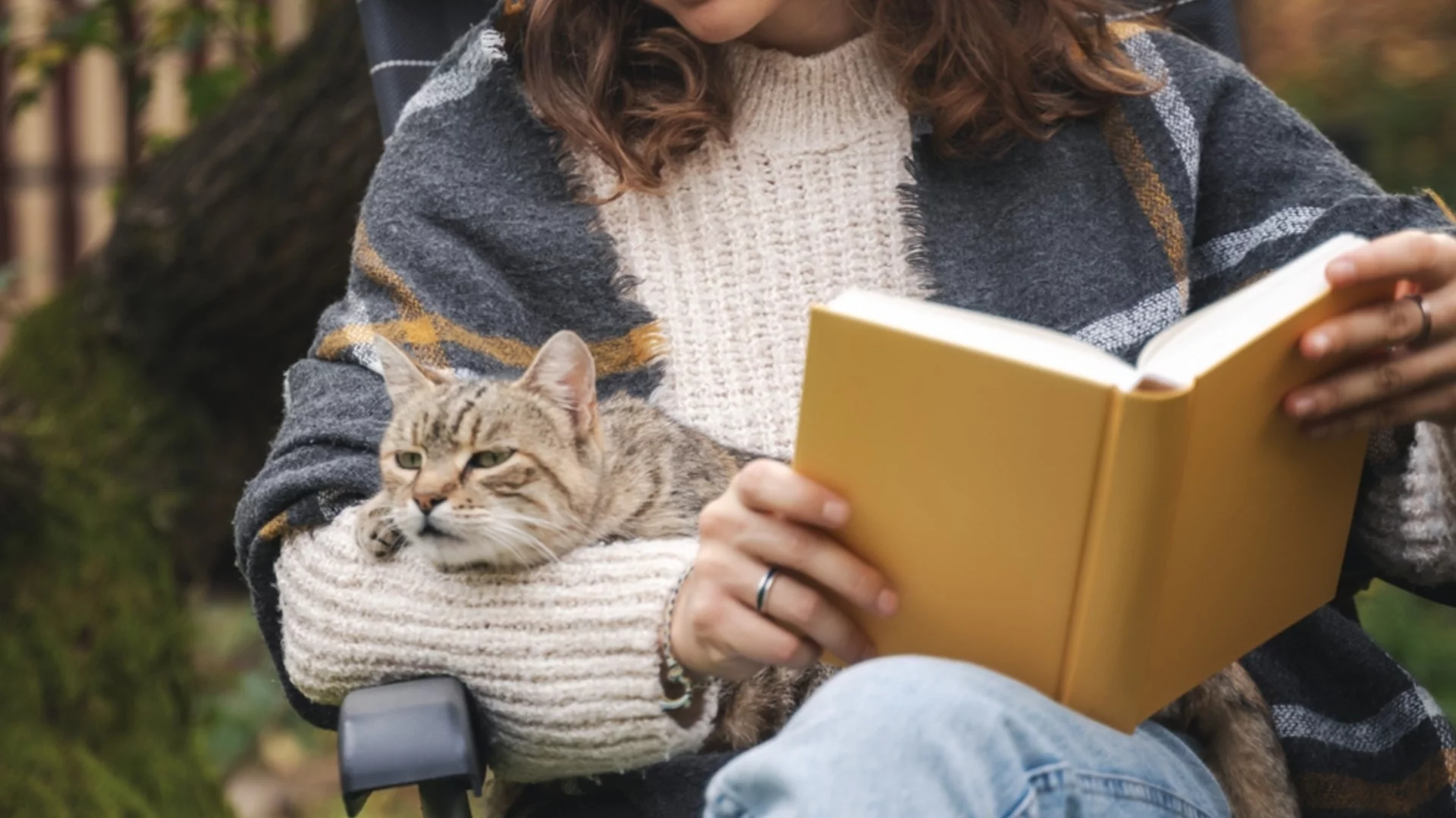 Готови за промяна? Времето утре - 4 ноември 2025 г. 