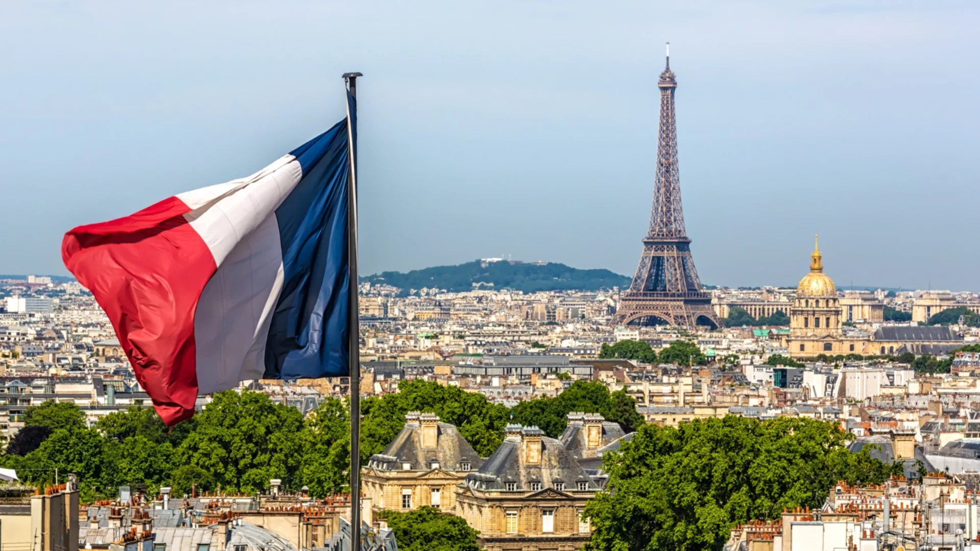 Защо лилията е кралският символ на Франция