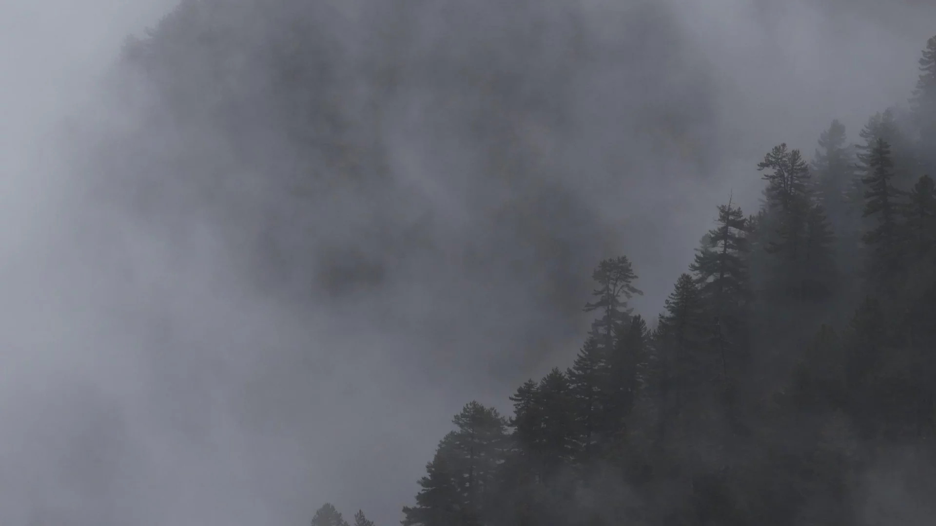 Може и да се загубите: Мъгли и дъжд в планините