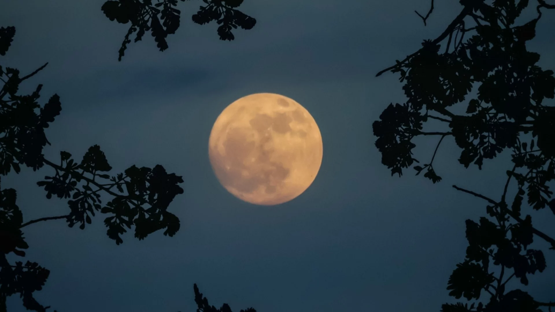 Боброво пълнолуние на 5 ноември: Какво трябва да направите утре