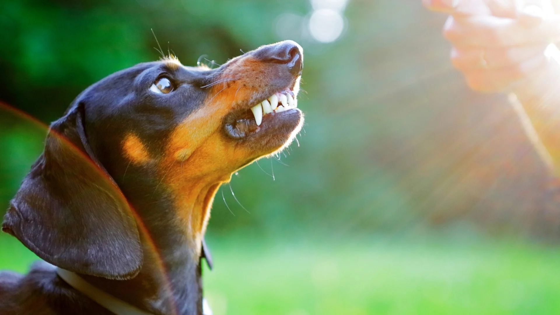 Утре Рак, Скорпион + още 2 зодии ще си запалят фитила сами