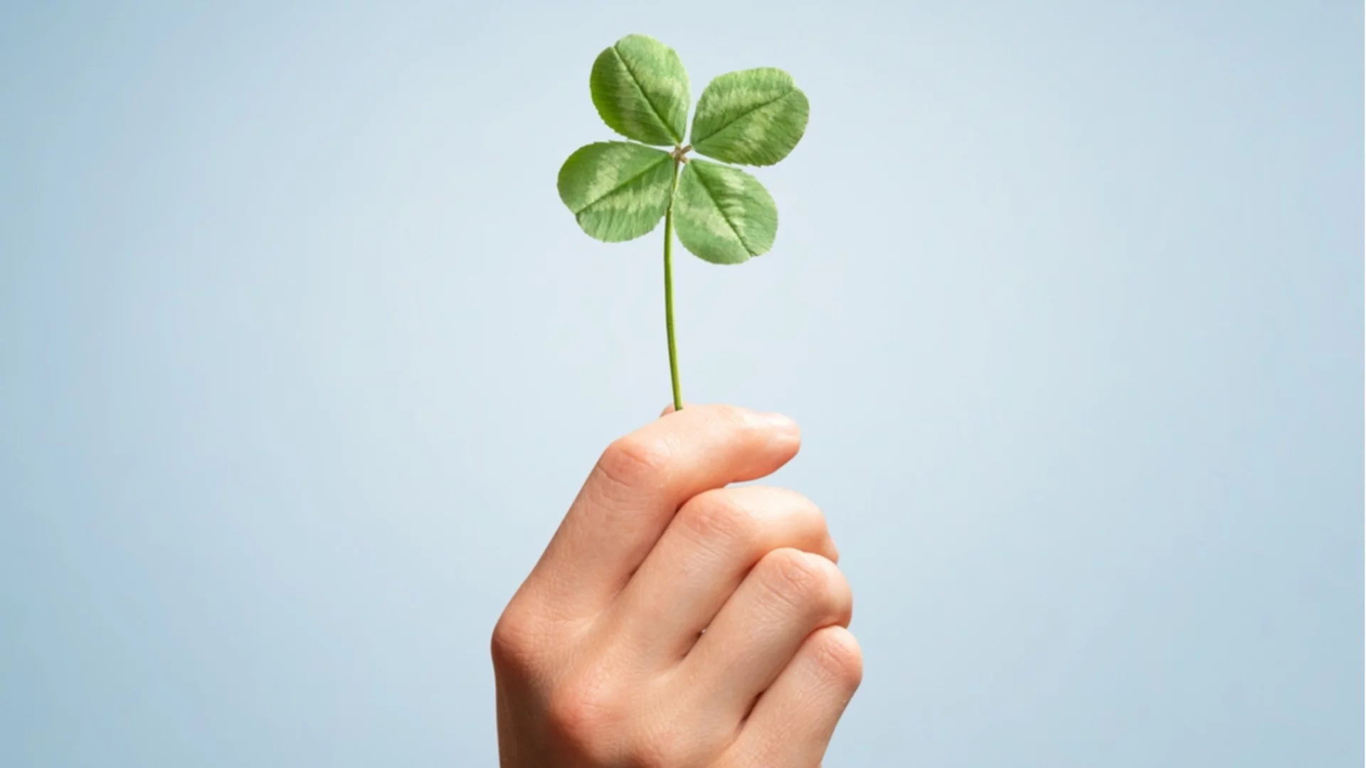 Късметче според зодията за тази седмица, 3 - 9 ноември 2025