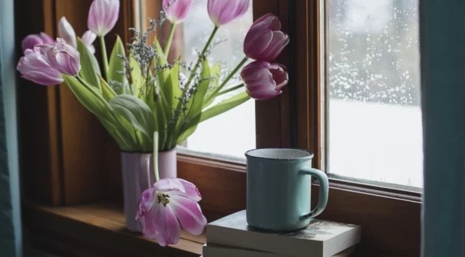 Какво никога НЕ трябва да се слага на перваза на прозореца, гони щастието и парите от дома