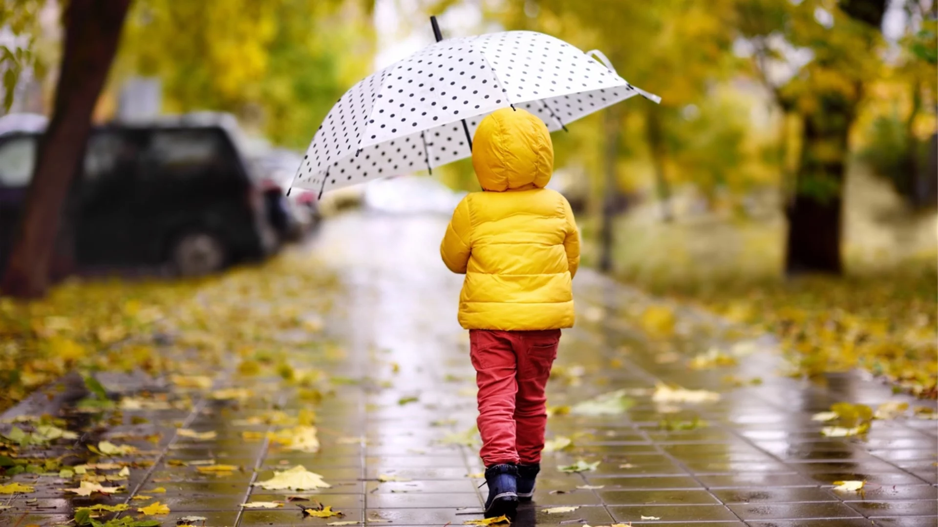 Прогноза за времето - 6 ноември 2025 г. (четвъртък)