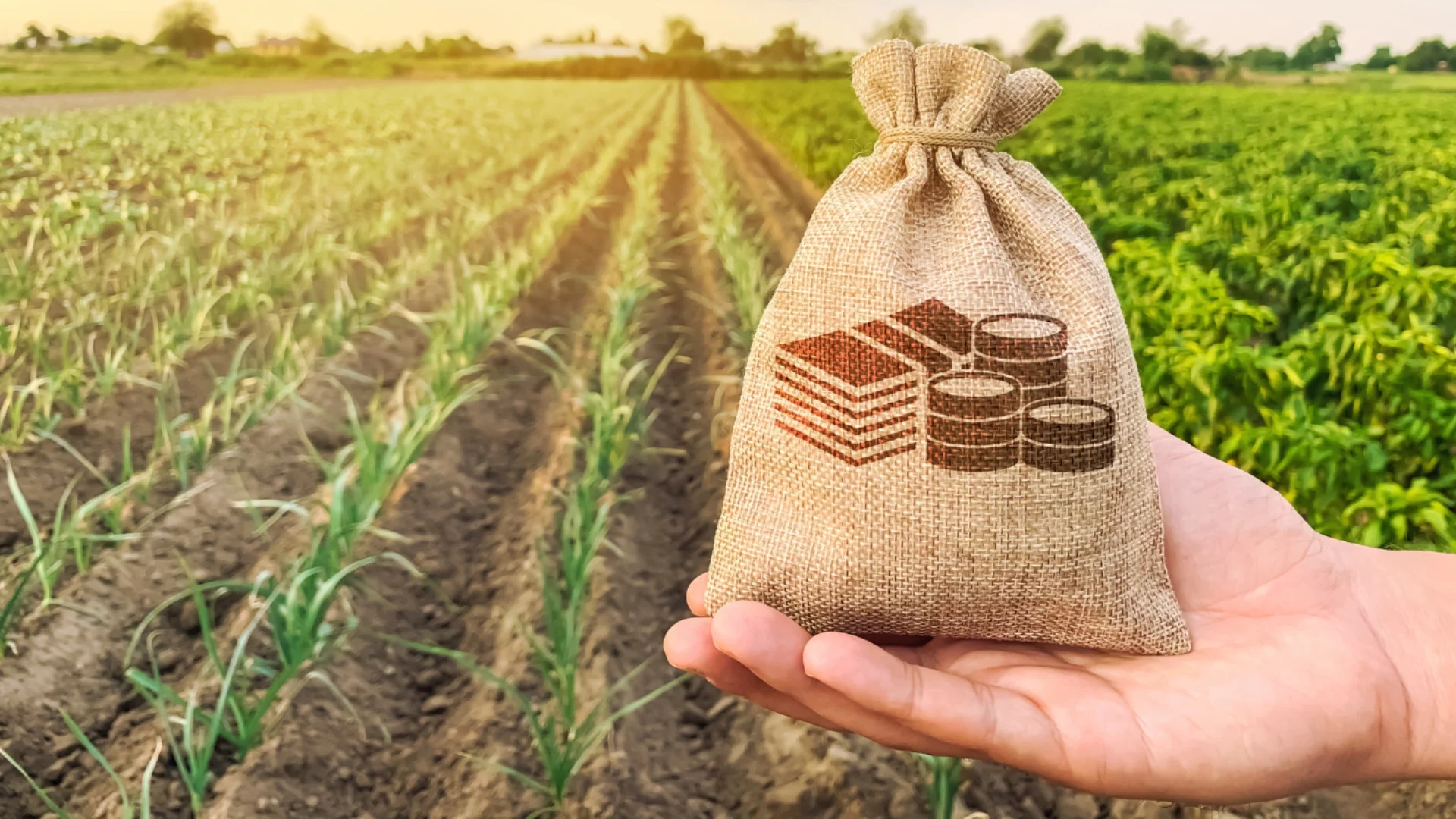 Идват загуби от ренти за собствениците на земя по договори за аренда и то по закон: Опасения на браншова организация