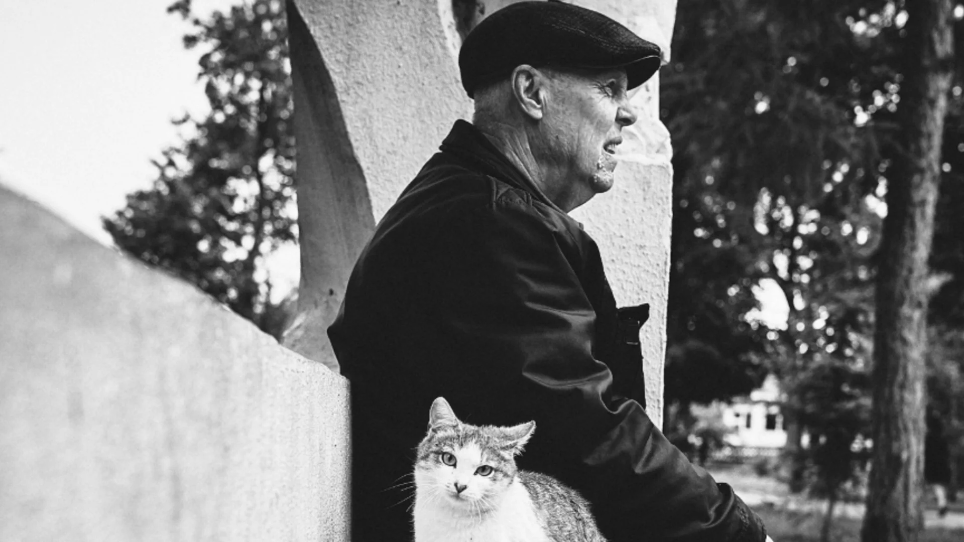 Откриха връзка между демографските тенденции и кръвните инфекции 