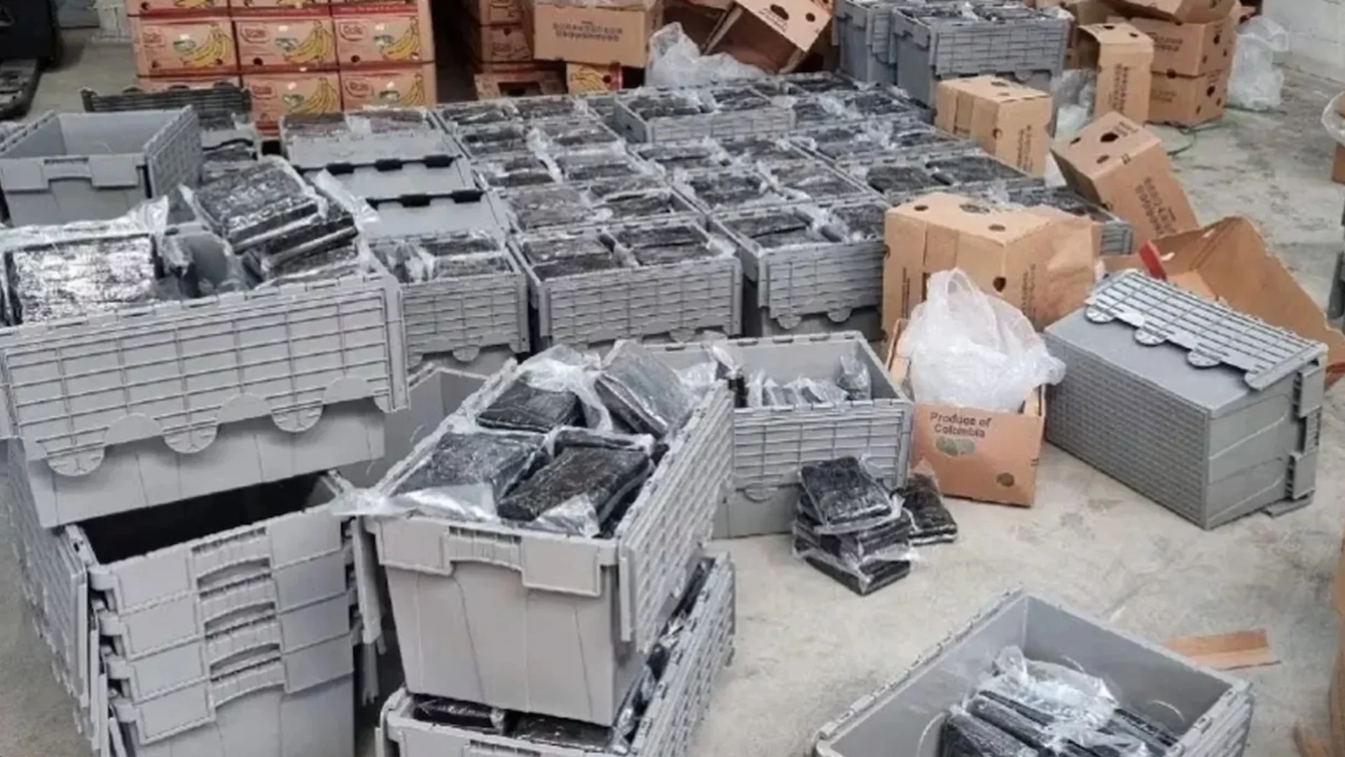 Подробности за българина, арестуван при наркоакцията в Нидерландия