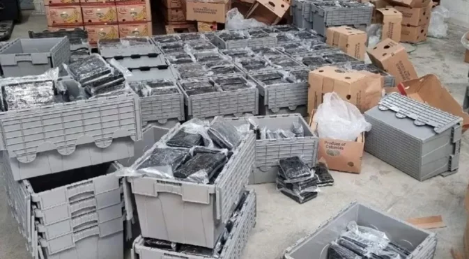 Подробности за българина, арестуван при наркоакцията в Нидерландия