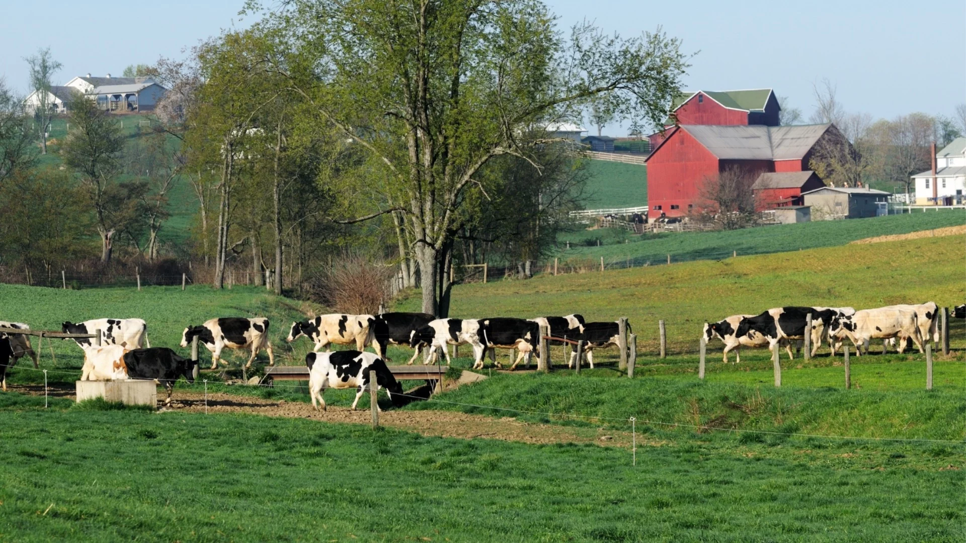 Браншът: Бюджетът обрича на фалити българските производители на храна
