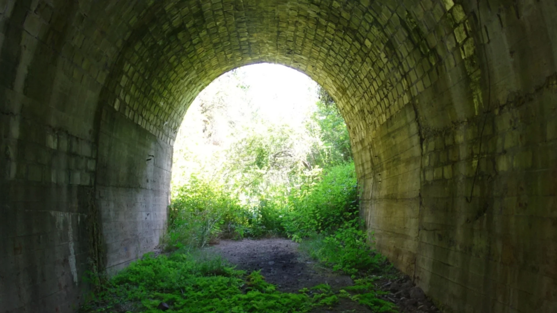 Не вярвам нито на Гроздан, нито на Караджов, нито на Николоски