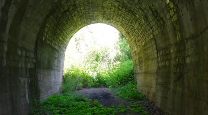 Не вярвам нито на Гроздан, нито на Караджов, нито на Николоски