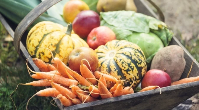 Какво да засадите в градината си през ноември?