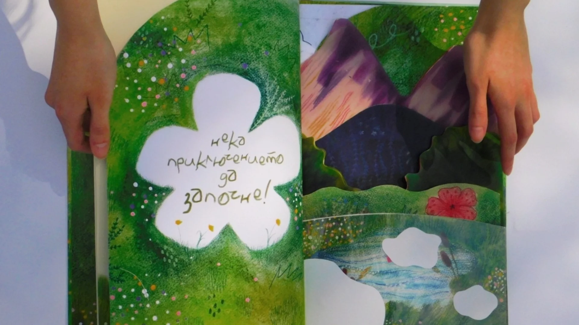 Вичеслава Ташкова за "МИГ - градът на различни погледи": Изложба за емпатия и любопитство