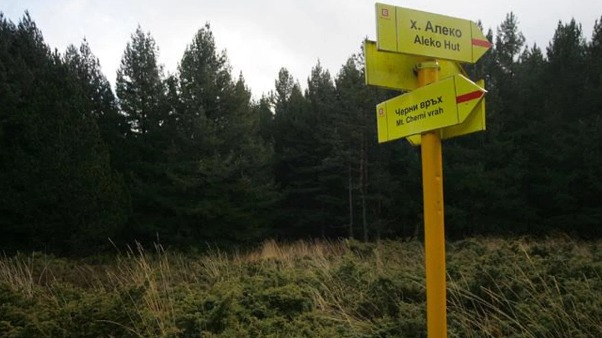 Издирва се! Виждали ли се това момиче? (СНИМКИ)