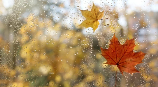 Прогноза за времето - 8 ноември 2025 г. (събота)