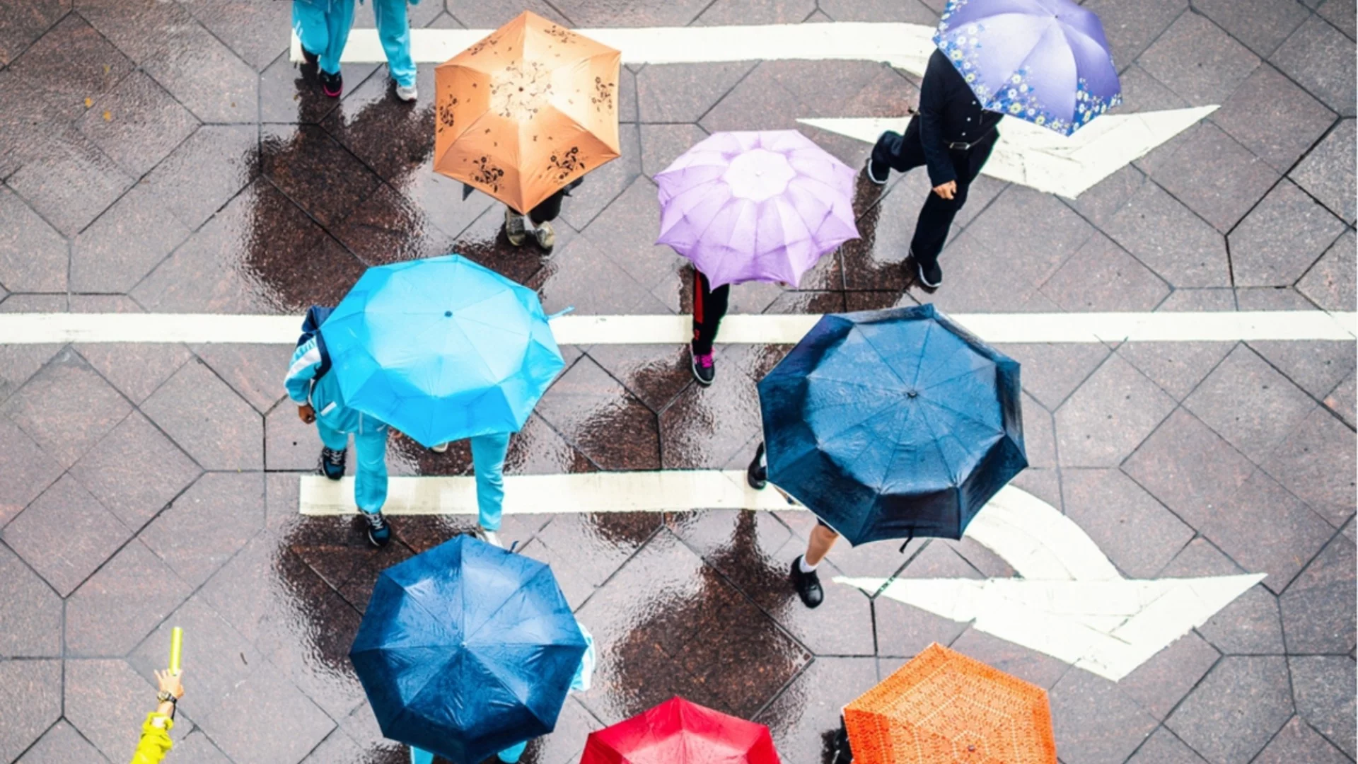 Проф. Георги Рачев с прогноза, която ще се хареса на дамите