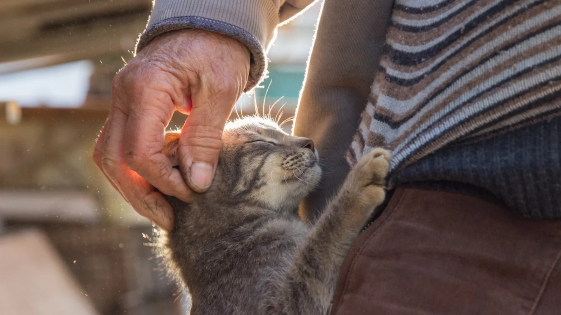 Тихата страна на добротата: Възрастен мъж показа какво е човечност с постъпката си (СНИМКИ)