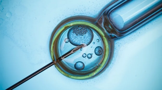 Демографски срив и нова надежда – инвитро бебетата в България се увеличават