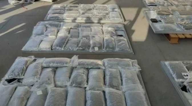 Спипаха 100 кг марихуана: Има задържан