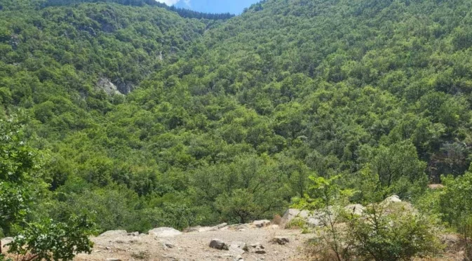 ЕК одобри финансиране за три екологични проекта в България