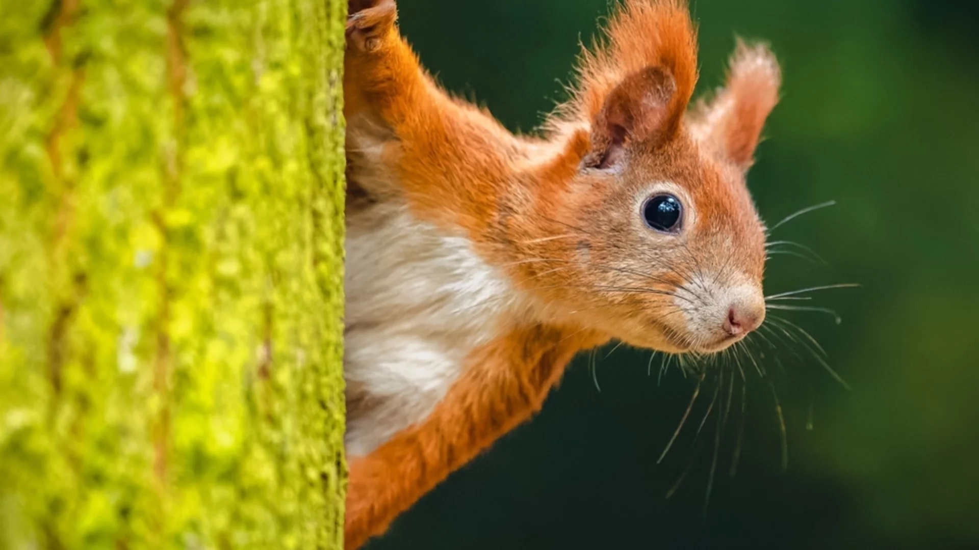 Прогноза за времето - 9 ноември 2025 г. (неделя)