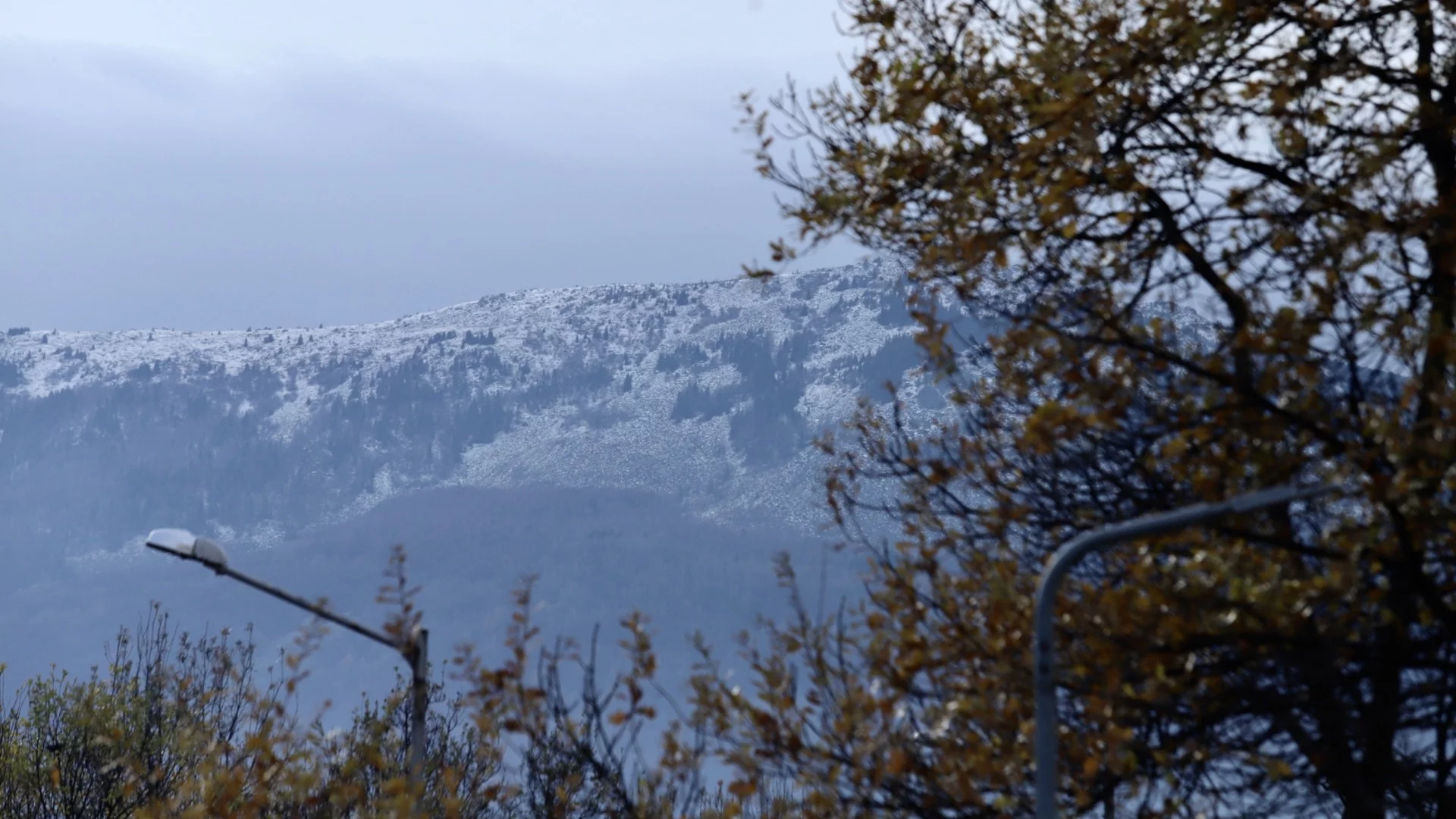 С хора, кучета и дронове: Продължава издирването на изчезнало във Витоша момиче