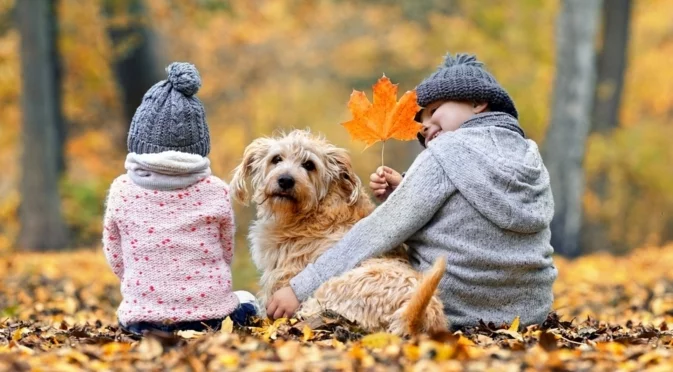 Ще посрещнем ли първия сняг? Седмична прогноза за времето за 10-16 ноември 2025 г. 