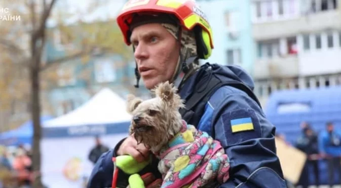 Докато стопанката е в болница: Спасиха кучето Мишел в Украйна (ВИДЕО и СНИМКА)