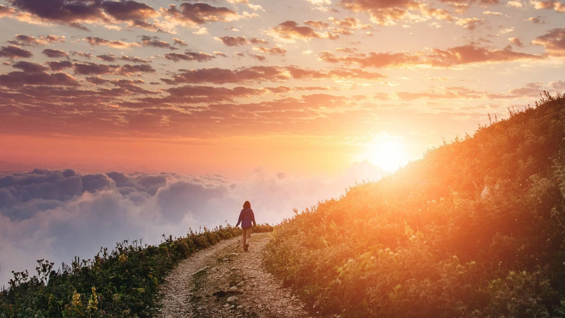 Зодиите, които ще обърнат гръб на миналото и ще започнат нов живот след 10 ноември