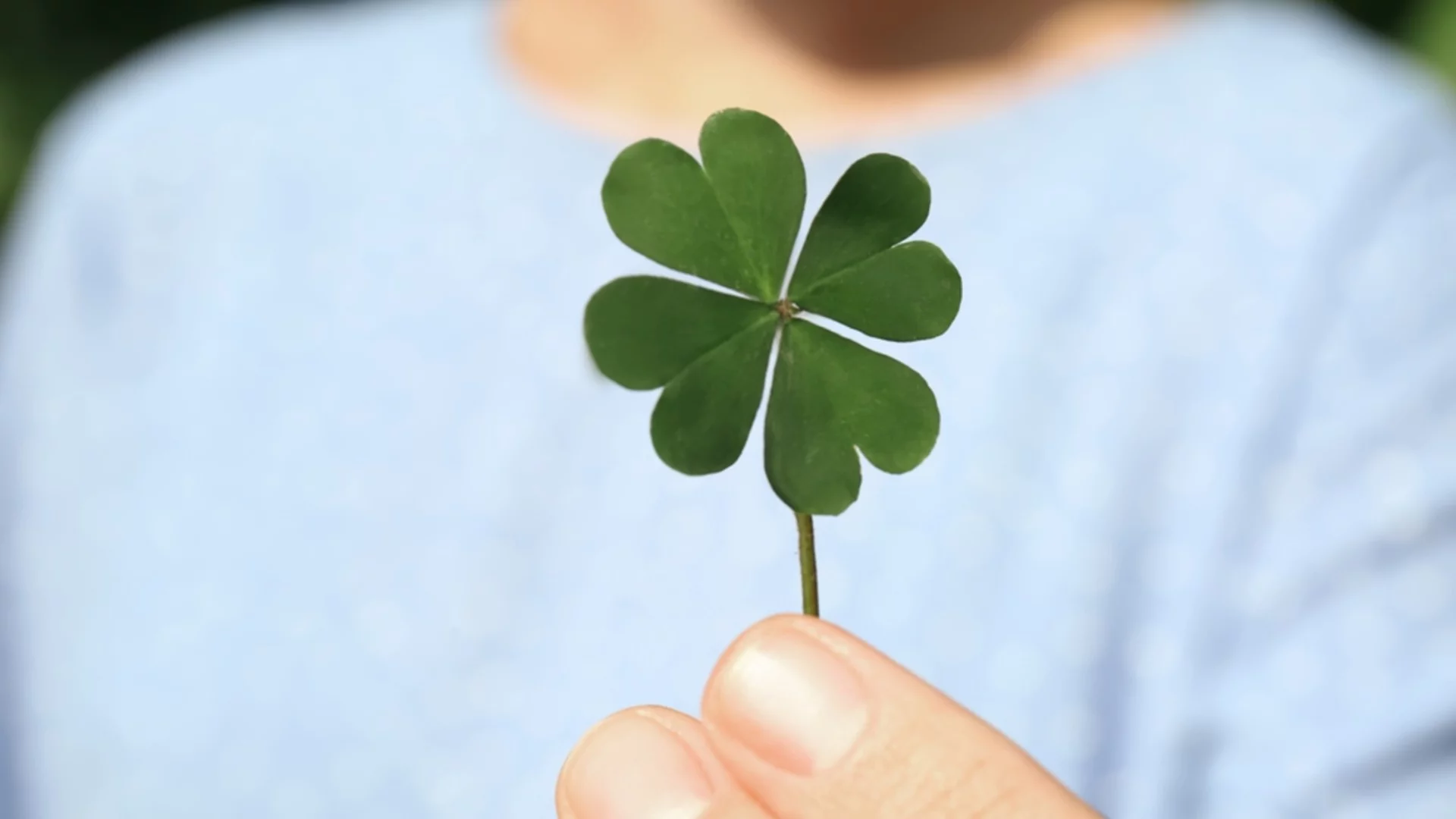 Най-големите късметлии на зодиака през седмицата от 10 до 16 ноември 2025