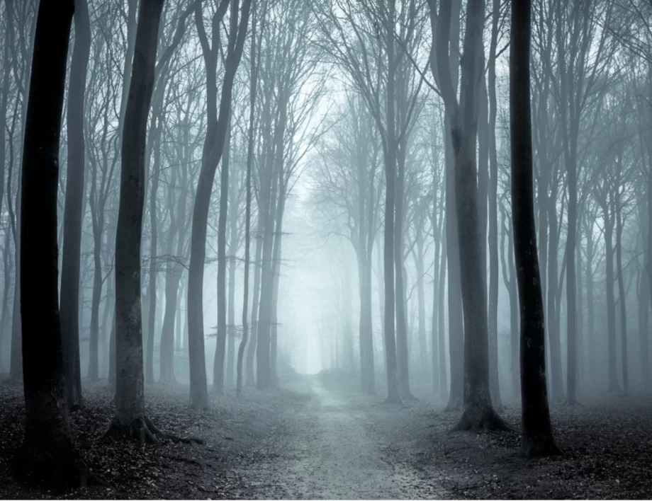 Новият климатичен феномен в Европа, който буквално изяжда цели градове