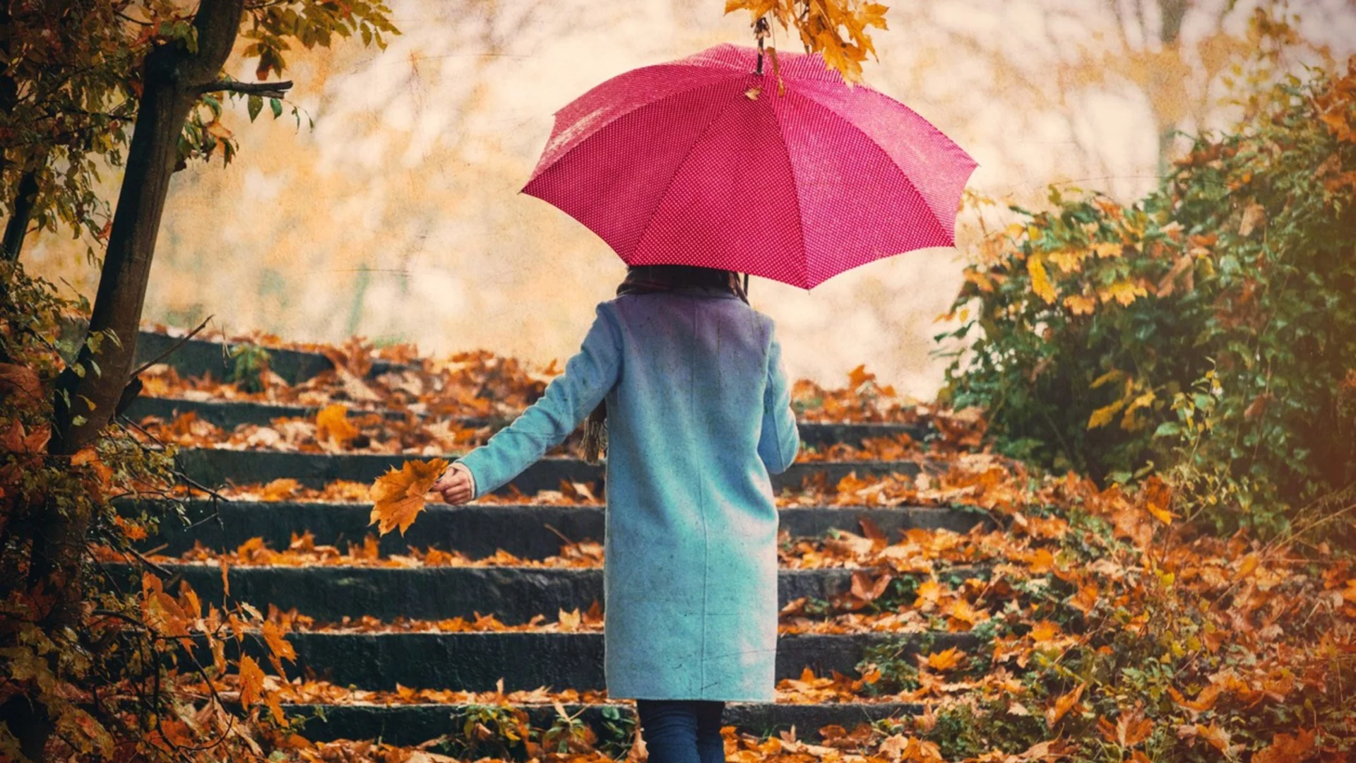 Прогноза за времето - 11 ноември 2025 г. (вторник)