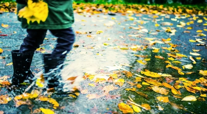 Оранжев код за опасни валежи в тези области. Времето утре - 11 ноември 2025 г. 