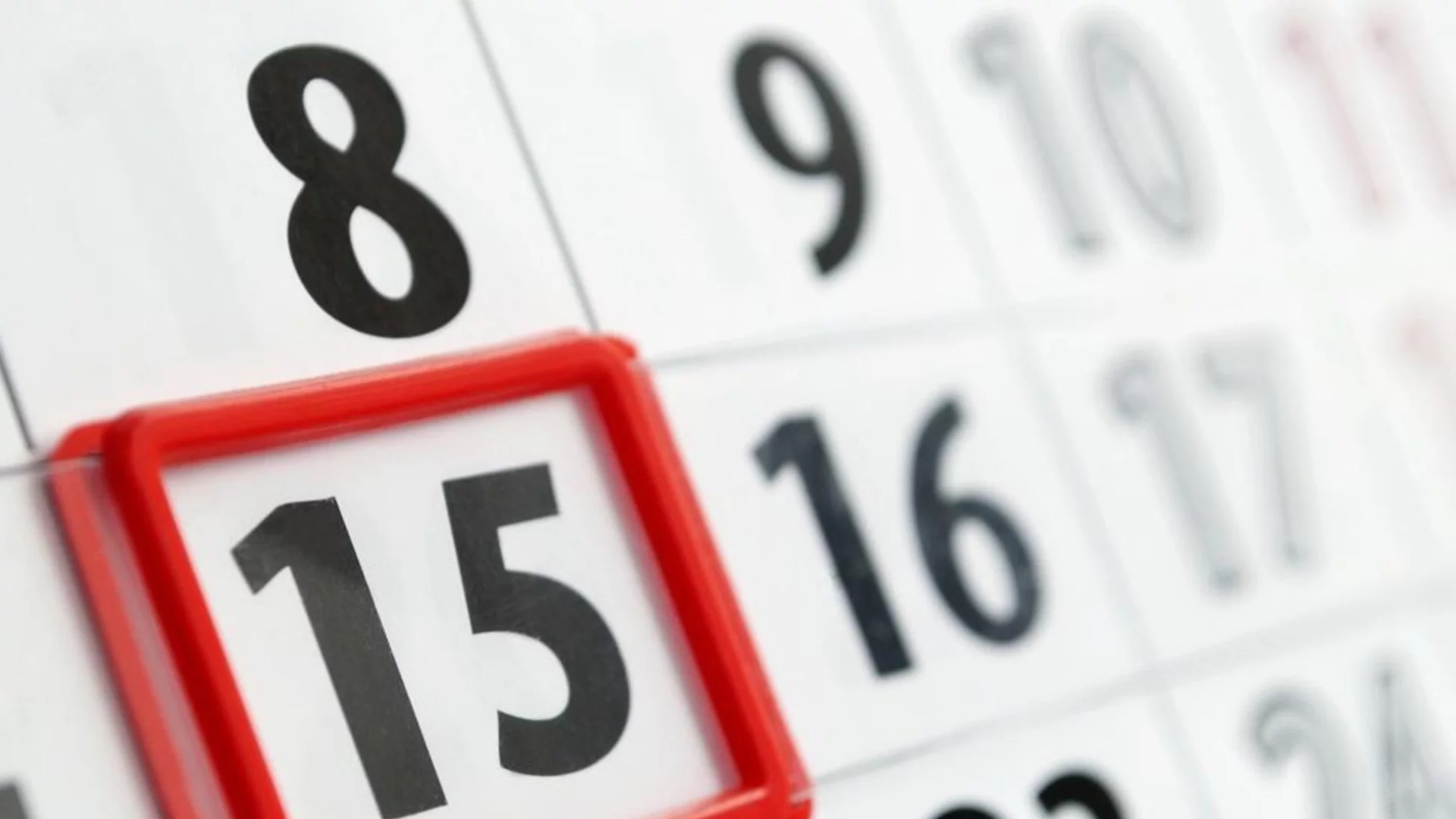 Какъв международен празник е на 11 ноември 2025 година?