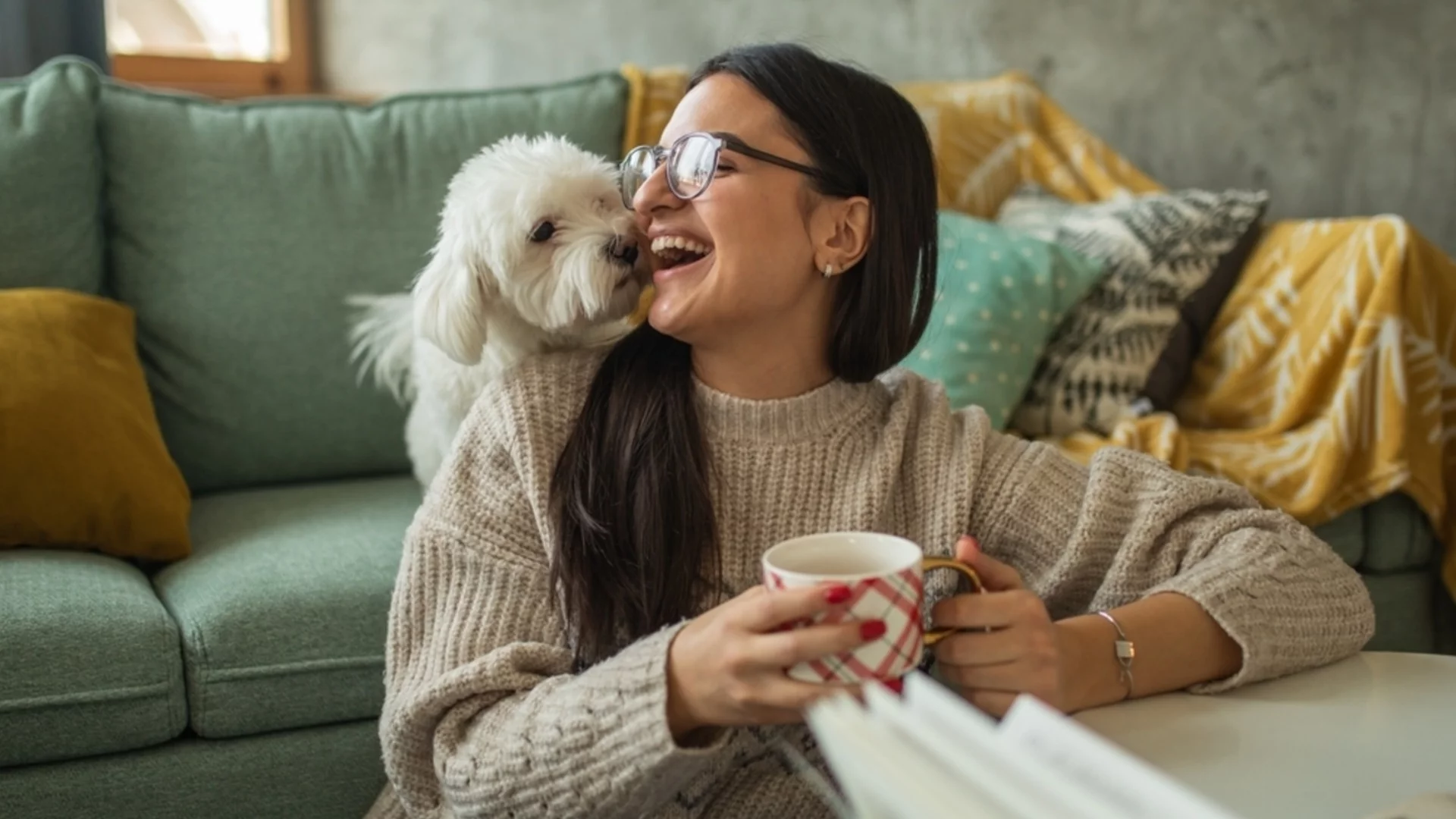 Ръст на инфарктите сред котки и кучета - виновен е човекът