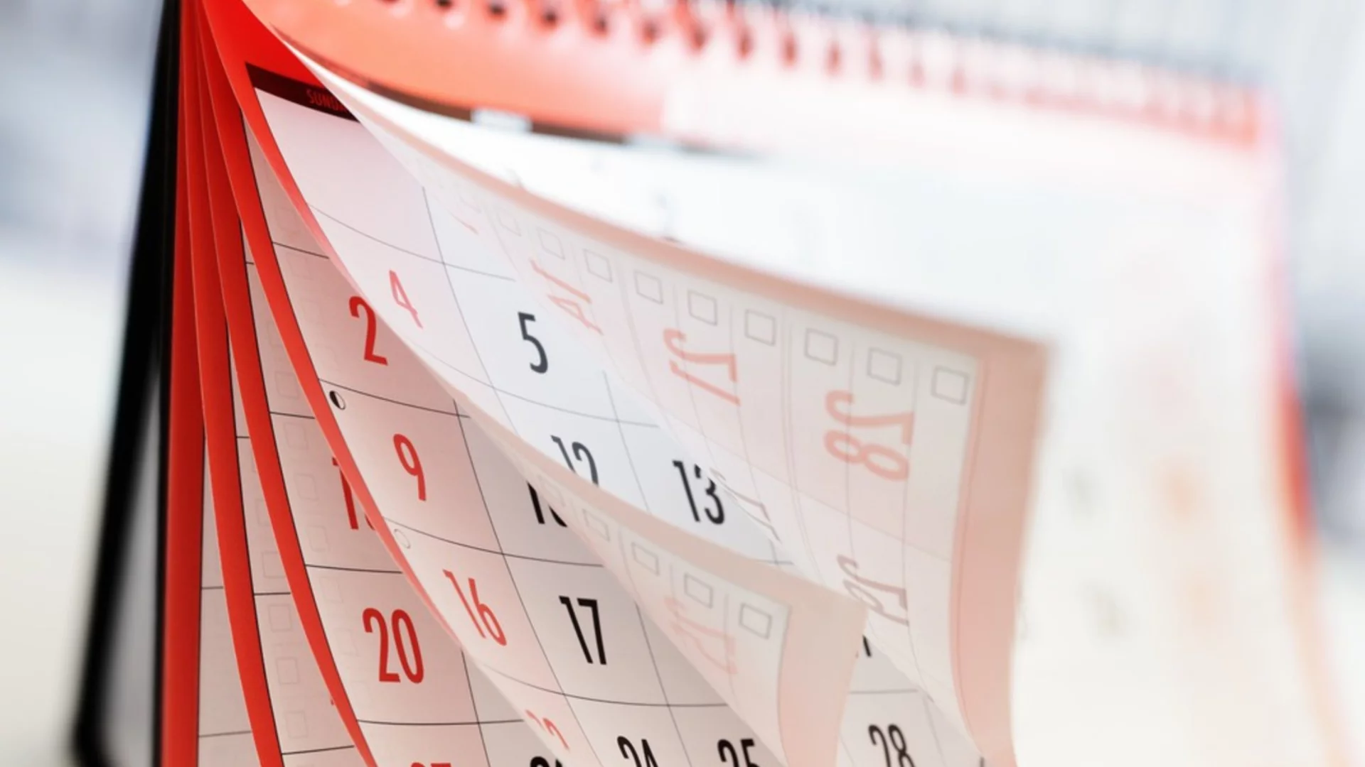 Какъв международен празник е на 12 ноември и какво важно се е случило на този ден