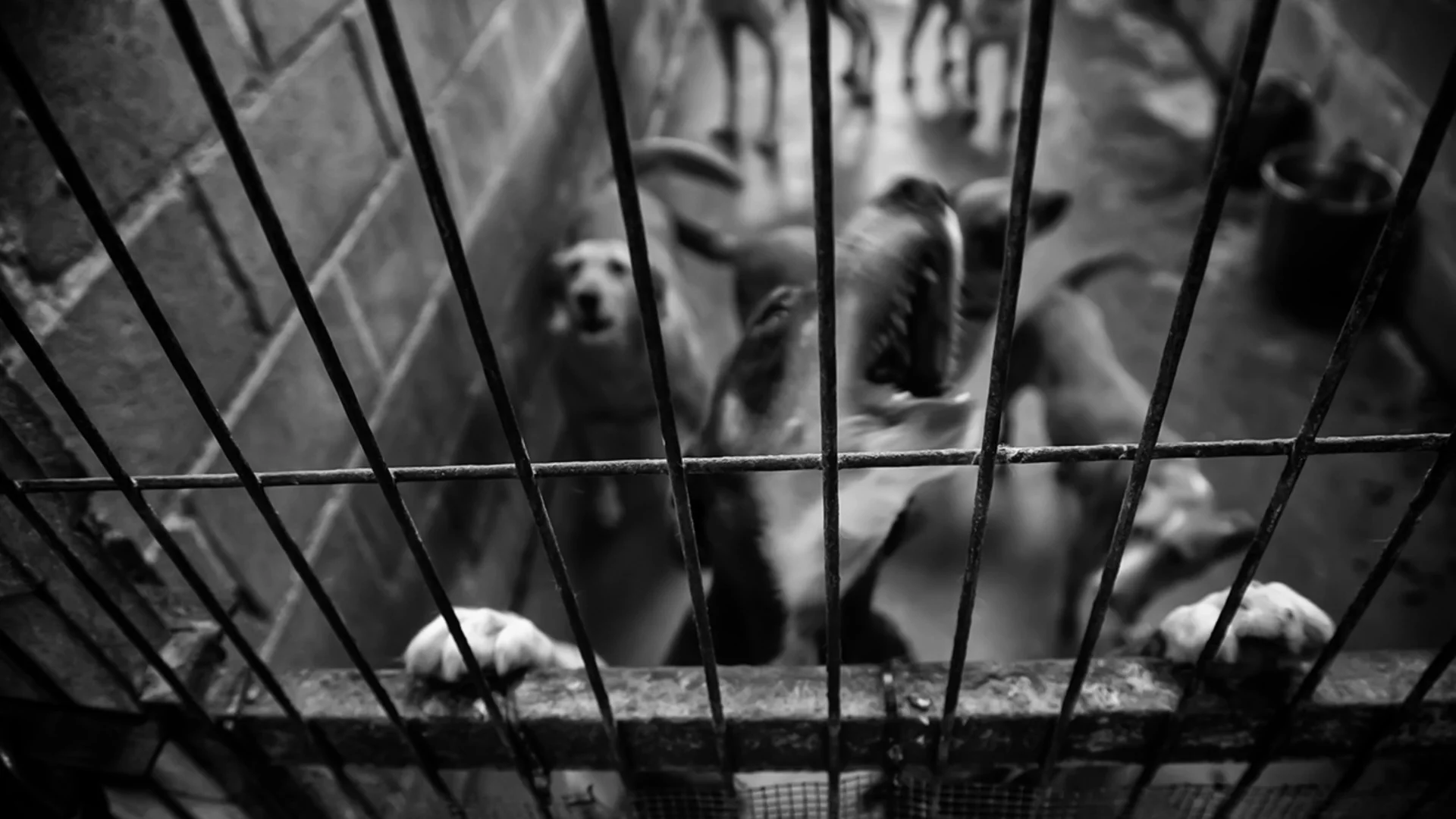 Най-важните новини за деня: 11 ноември 2025 г.