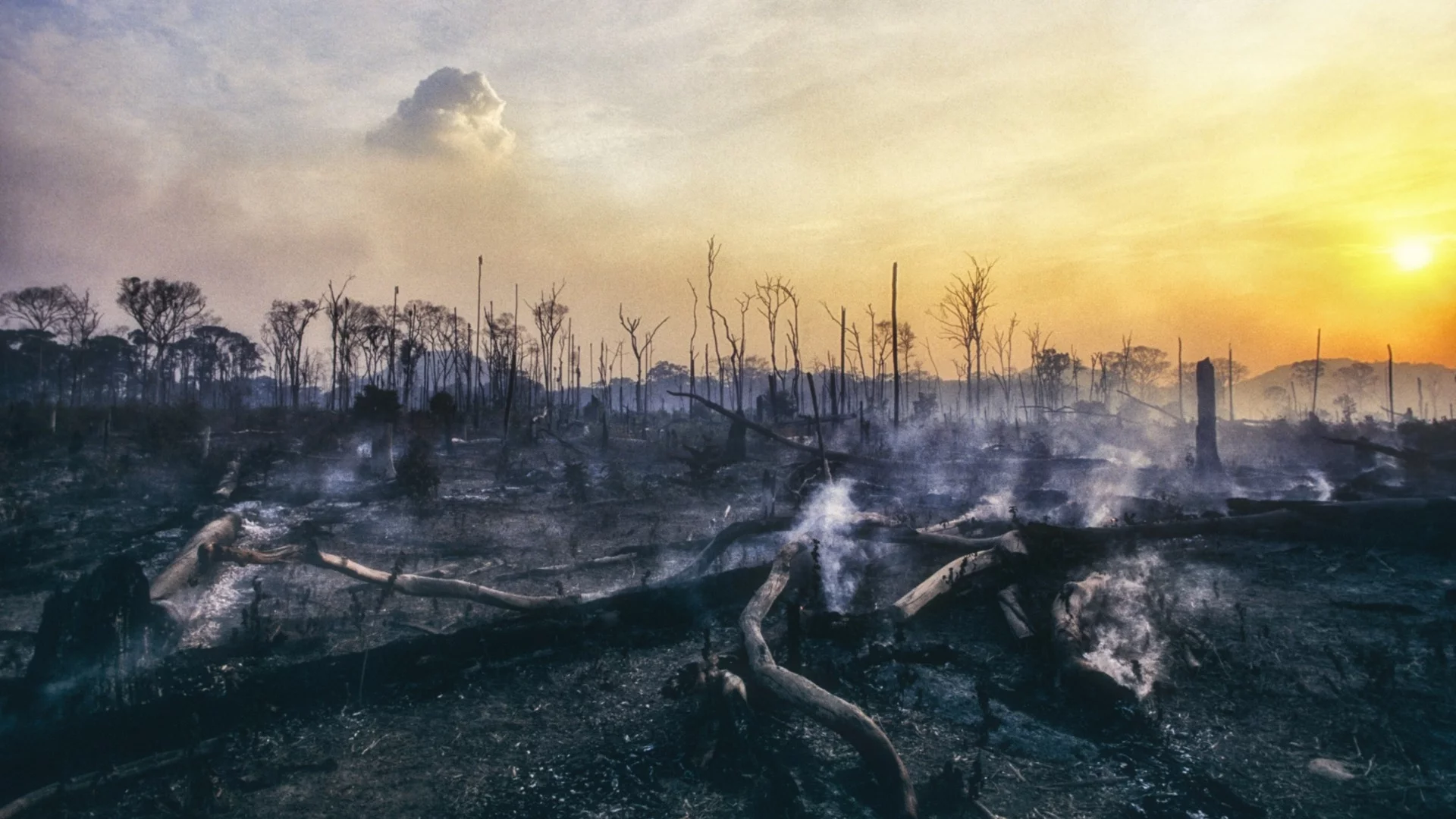 Meteo Balkans: България е изправена пред страшна опасност - под краката ни гори и нищо не можем да направим