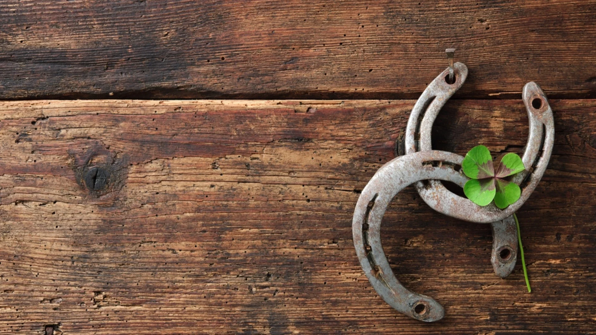 Късметче според зодията за тази седмица, 10 - 16 ноември 2025