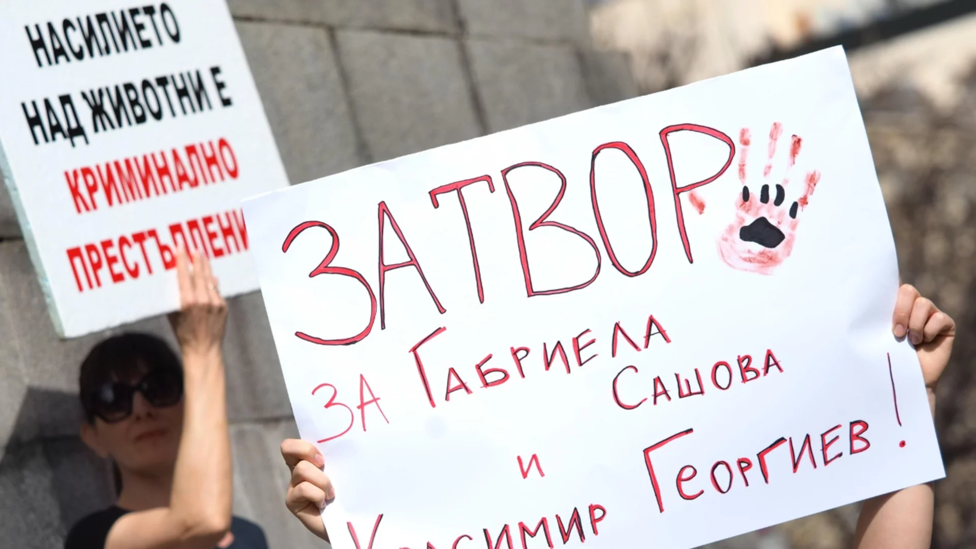 Помните ли серийните убийци на животни от Перник: Скоро ще има възмездие за тях