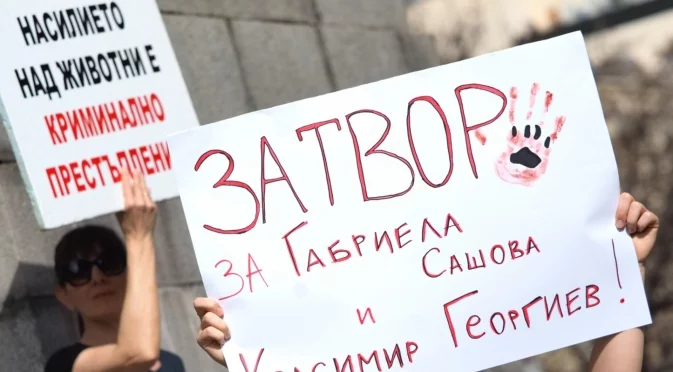 Помните ли серийните убийци на животни от Перник: Скоро ще има възмездие за тях